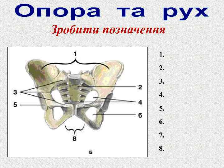 Зробити позначення 1. 2. 3. 4. 5. 6. 7. 8. 