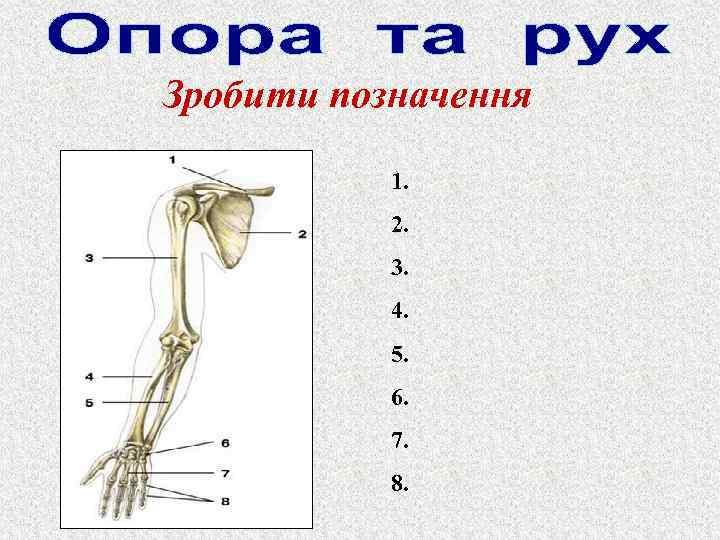 Зробити позначення 1. 2. 3. 4. 5. 6. 7. 8. 