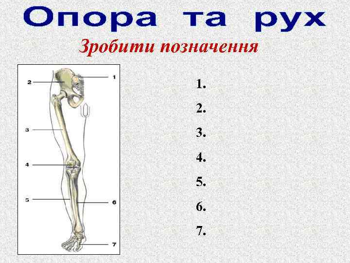 Зробити позначення 1. 2. 3. 4. 5. 6. 7. 