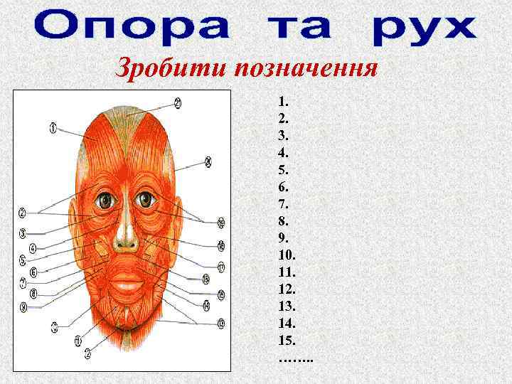 Зробити позначення 1. 2. 3. 4. 5. 6. 7. 8. 9. 10. 11. 12.