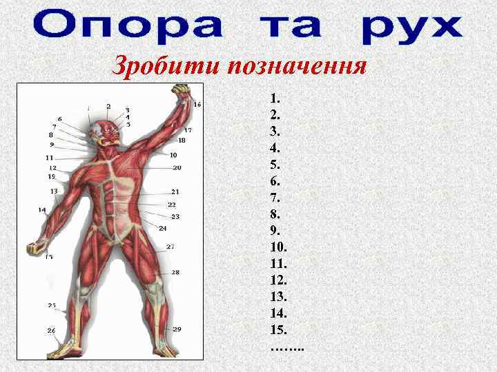 Зробити позначення 1. 2. 3. 4. 5. 6. 7. 8. 9. 10. 11. 12.