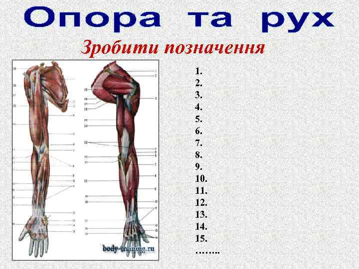 Зробити позначення 1. 2. 3. 4. 5. 6. 7. 8. 9. 10. 11. 12.