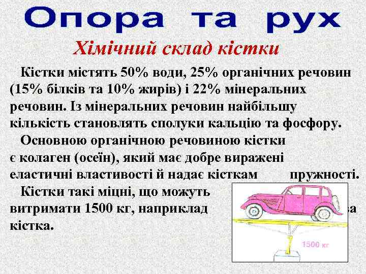 Хімічний склад кістки Кістки містять 50% води, 25% органічних речовин (15% білків та 10%