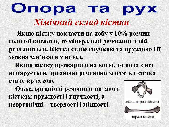 Хімічний склад кістки Якщо кістку покласти на добу у 10% розчин соляної кислоти, то