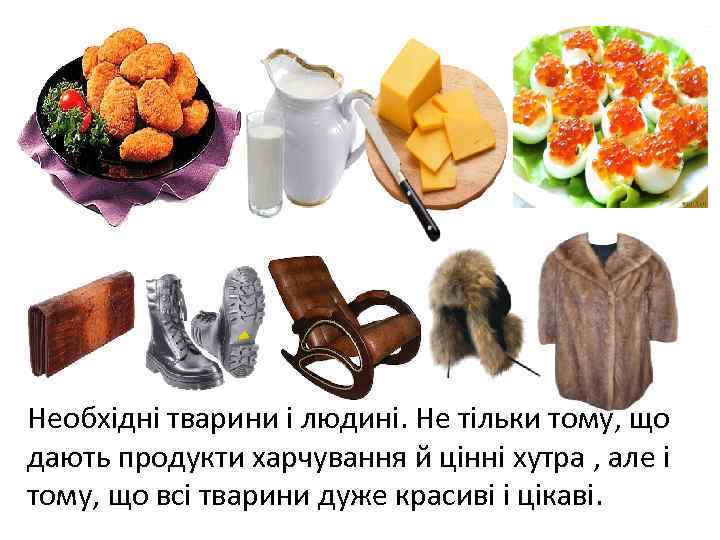 Необхідні тварини і людині. Не тільки тому, що дають продукти харчування й цінні хутра