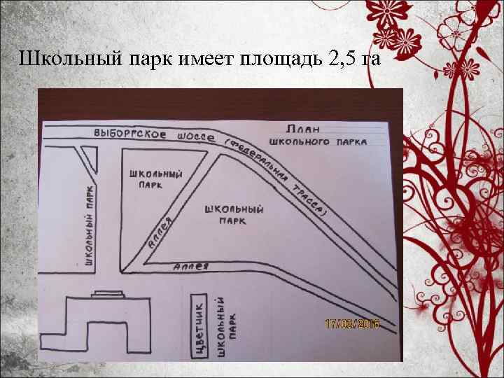 Школьный парк имеет площадь 2, 5 га 