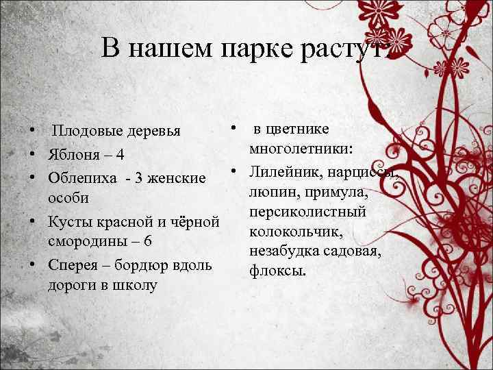 В нашем парке растут: • в цветнике • Плодовые деревья многолетники: • Яблоня –
