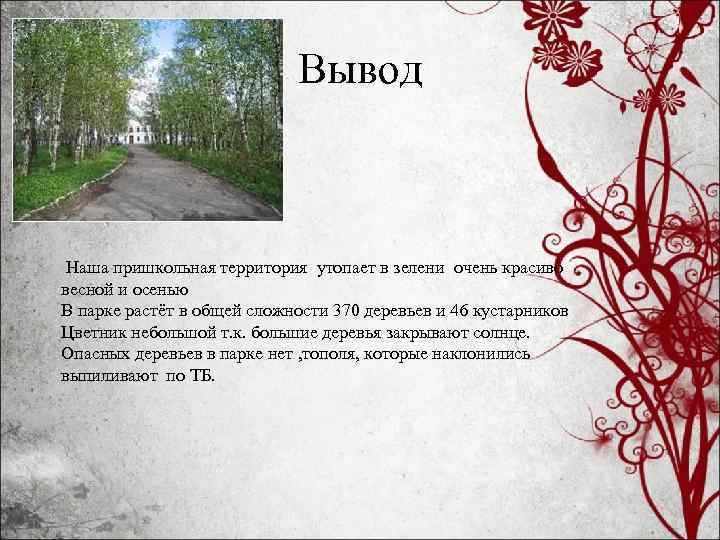 Вывод Наша пришкольная территория утопает в зелени очень красиво весной и осенью В парке