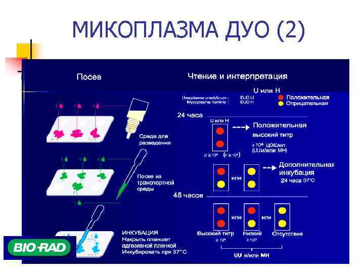 МИКОПЛАЗМА ДУО (2) 