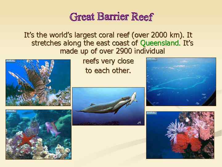 It’s the world’s largest coral reef (over 2000 km). It stretches along the east