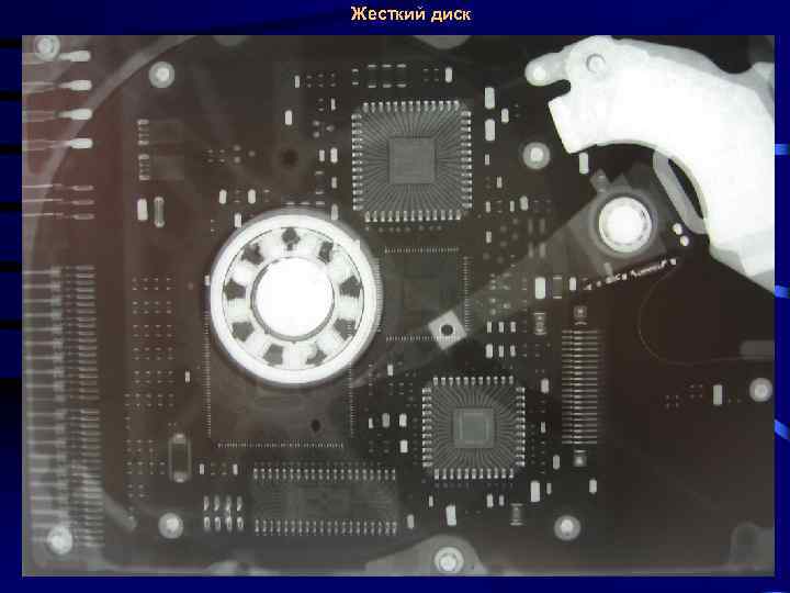 Жесткий диск 