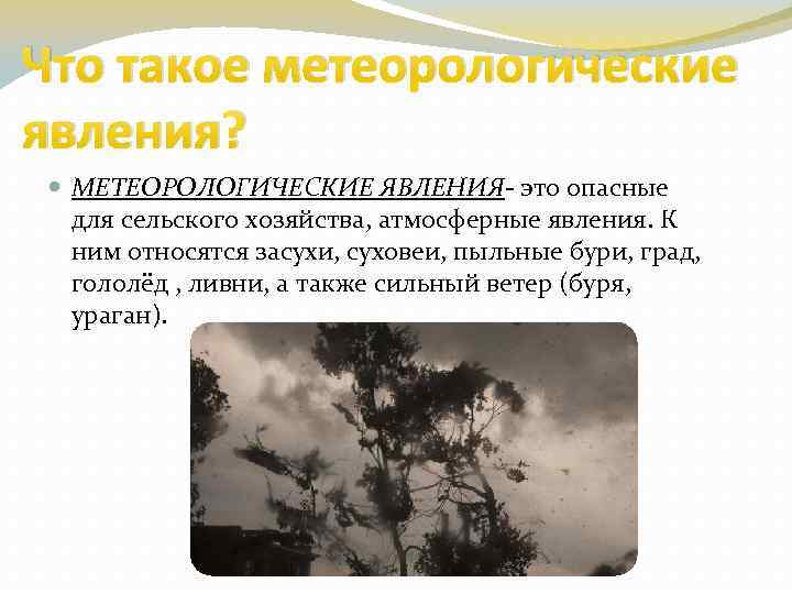 Что такое метеорологические явления? МЕТЕОРОЛОГИЧЕСКИЕ ЯВЛЕНИЯ- это опасные для сельского хозяйства, атмосферные явления. К