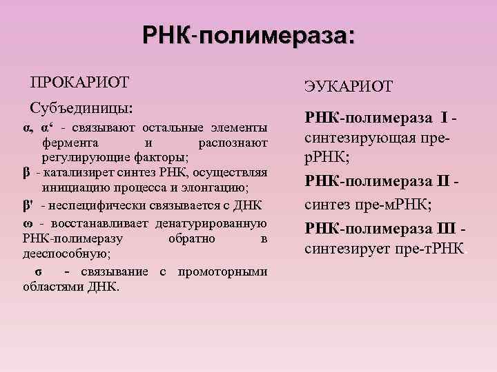 РНК-полимераза: ПРОКАРИОТ Субъединицы: α, α‘ - связывают остальные элементы фермента и распознают регулирующие факторы;