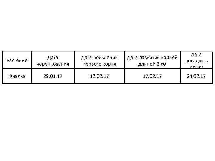 Растение Дата черенкования Дата появления первого корня Дата развития корней длиной 2 см Дата