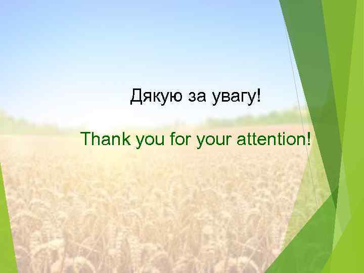 Дякую за увагу! Thank you for your attention! 