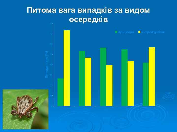 Питома вага випадків за видом осередків 80 природні 70 антропургічні Питома вага (%) 60