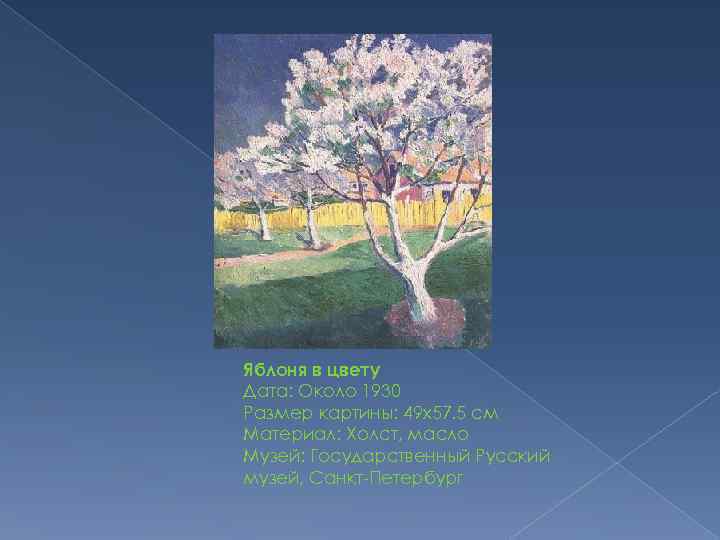 Яблоня в цвету Дата: Около 1930 Размер картины: 49 x 57. 5 см Материал: