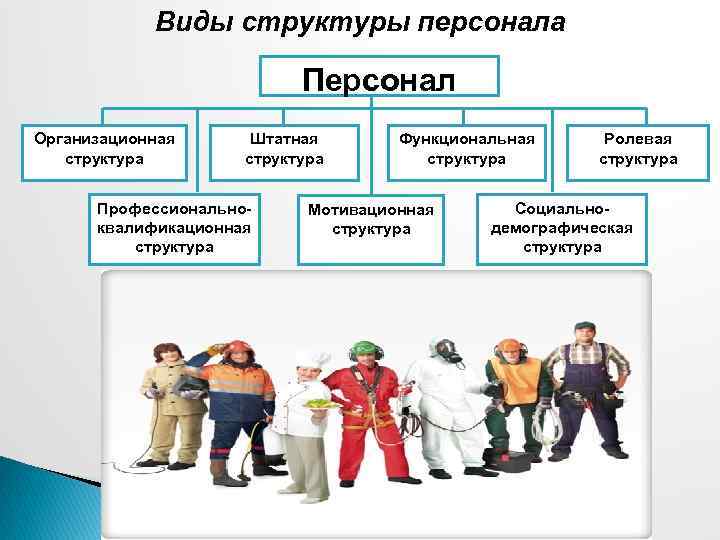 Состав сотрудников предприятия. Структура персонала. Виды структуры персонала. Структура сотрудников организации. Структура персонала предприятия.