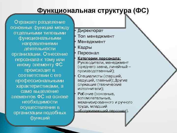Функциональная структура (ФС) Отражает разделение основных функций между отдельными типовыми функциональными направлениями деятельности организации.