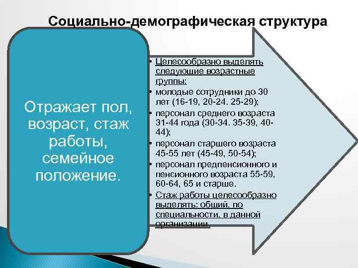 Социально-демографическая структура Отражает пол, возраст, стаж работы, семейное положение. • Целесообразно выделять следующие возрастные
