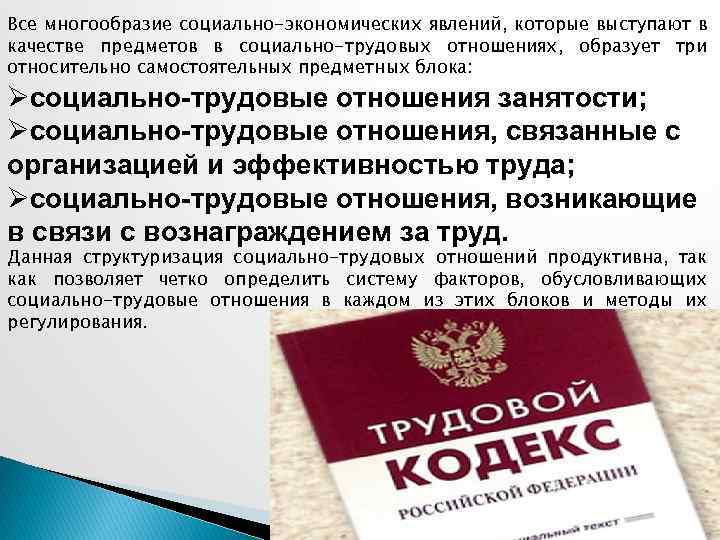 Все многообразие социально-экономических явлений, которые выступают в качестве предметов в социально-трудовых отношениях, образует три