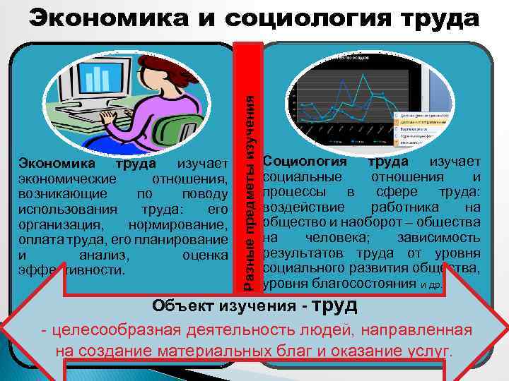 Экономическая социология и экономика