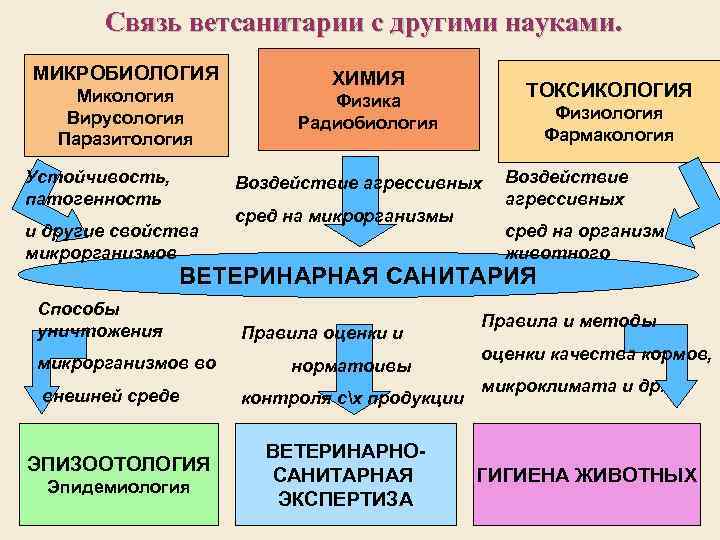  Связь ветсанитарии с другими науками. МИКРОБИОЛОГИЯ Микология Вирусология Паразитология Устойчивость, патогенность ТОКСИКОЛОГИЯ Физика