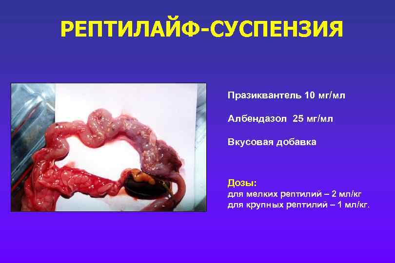 РЕПТИЛАЙФ-СУСПЕНЗИЯ Празиквантель 10 мг/мл Албендазол 25 мг/мл Вкусовая добавка Дозы: для мелких рептилий –