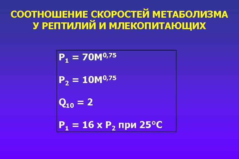 СООТНОШЕНИЕ СКОРОСТЕЙ МЕТАБОЛИЗМА У РЕПТИЛИЙ И МЛЕКОПИТАЮЩИХ P 1 = 70 M 0, 75