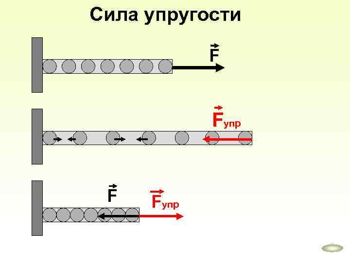 Сила упругости F Fупр 