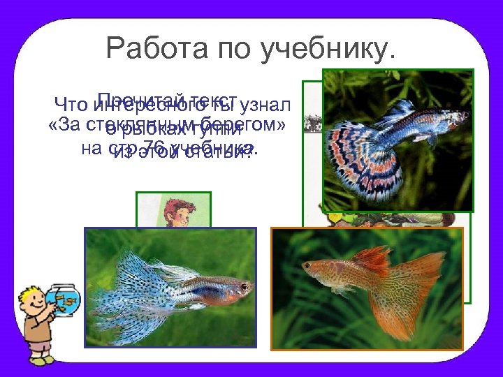 Работа по учебнику. Прочитай текст Что интересного ты узнал «За стекляннымгуппи о рыбках берегом»
