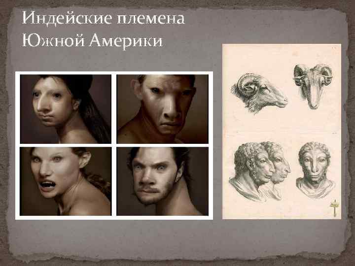 Индейские племена Южной Америки 