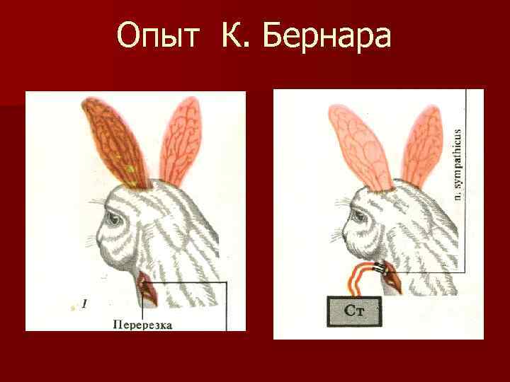 Опыт К. Бернара 