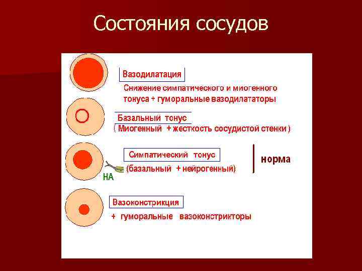 Состояния сосудов 
