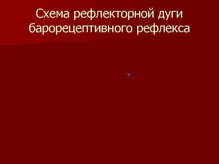 Схема рефлекторной дуги барорецептивного рефлекса 