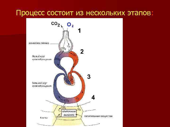 Процесс состоит из нескольких этапов: 