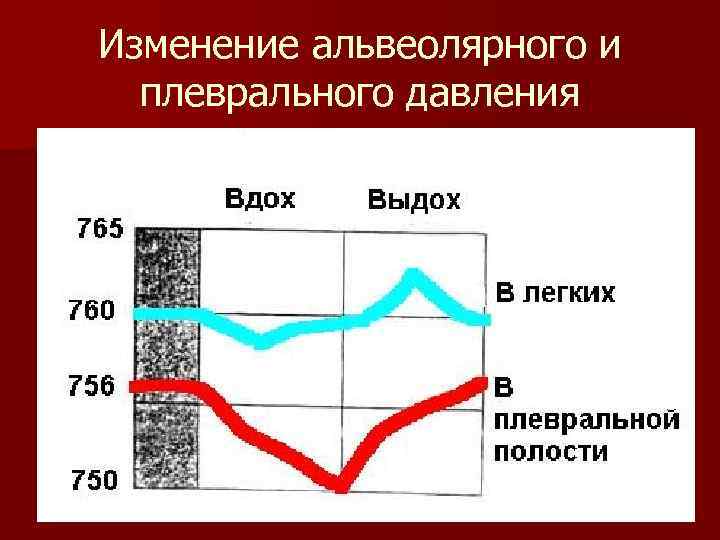 Изменение альвеолярного и плеврального давления 