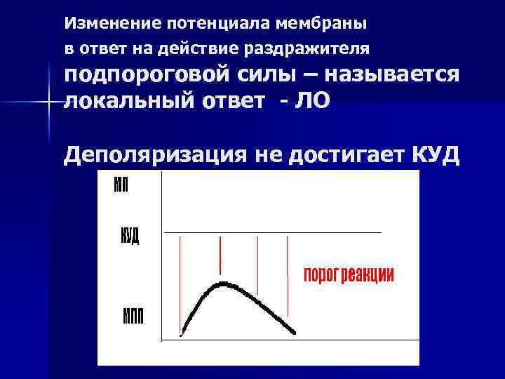 Изменение потенциала мембраны в ответ на действие раздражителя подпороговой силы – называется локальный ответ