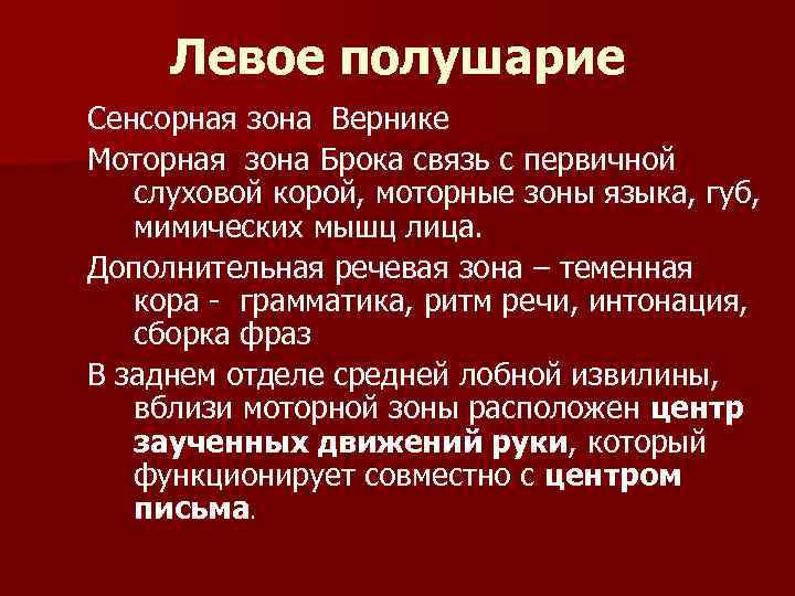 Левое полушарие Сенсорная зона Вернике Моторная зона Брока связь с первичной слуховой корой, моторные