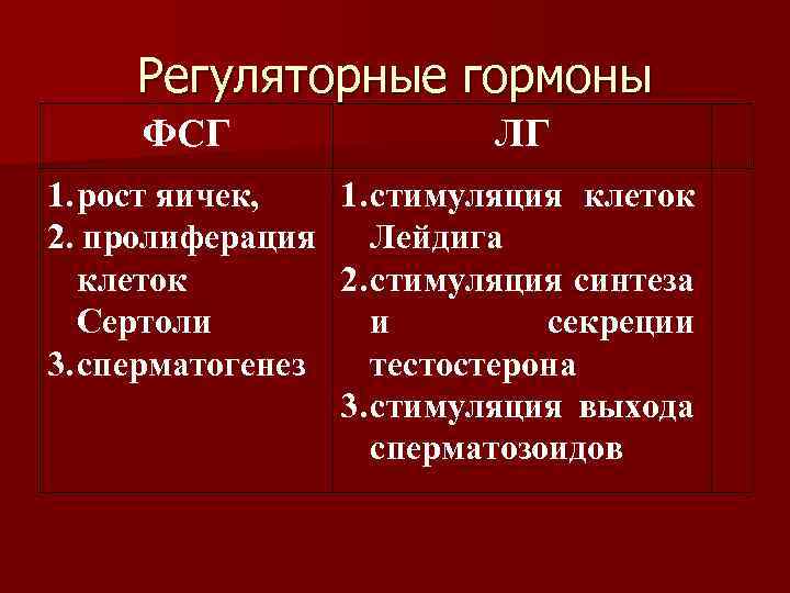 Регуляторные гормоны ФСГ ЛГ 1. рост яичек, 1. стимуляция клеток 2. пролиферация Лейдига клеток