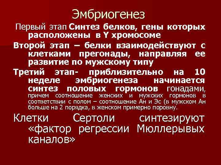 Эмбриогенез Первый этап Синтез белков, гены которых расположены в Y хромосоме Второй этап –