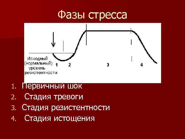 Фазы стресса Первичный шок 2. Стадия тревоги 3. Стадия резистентности 4. Стадия истощения 1.