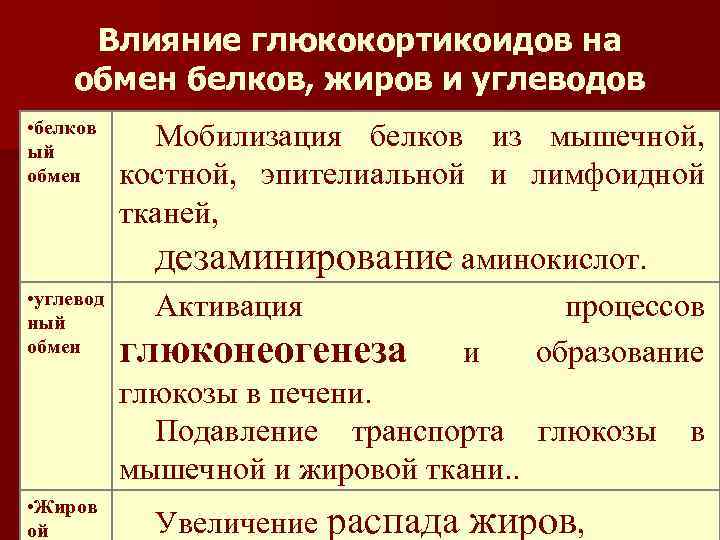 Влияние глюкокортикоидов на обмен белков, жиров и углеводов • белков ый обмен • углевод