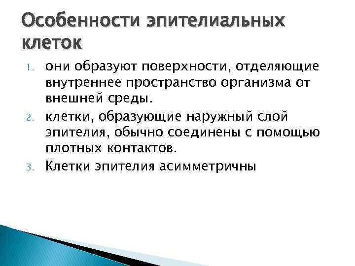 Особенности эпителиальных клеток 1. 2. 3. они образуют поверхности, отделяющие внутреннее пространство организма от