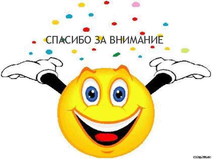 СПАСИБО ЗА ВНИМАНИЕ 