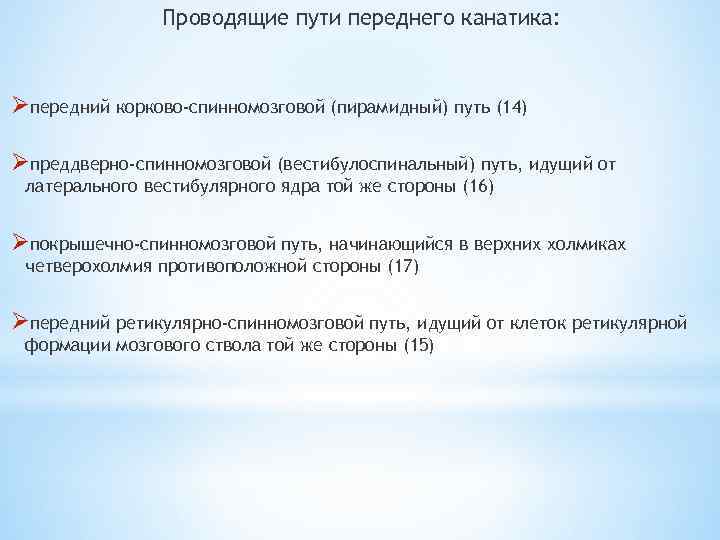 Проводящие пути переднего канатика: Øпередний корково-спинномозговой (пирамидный) путь (14) Øпреддверно-спинномозговой (вестибулоспинальный) путь, идущий от