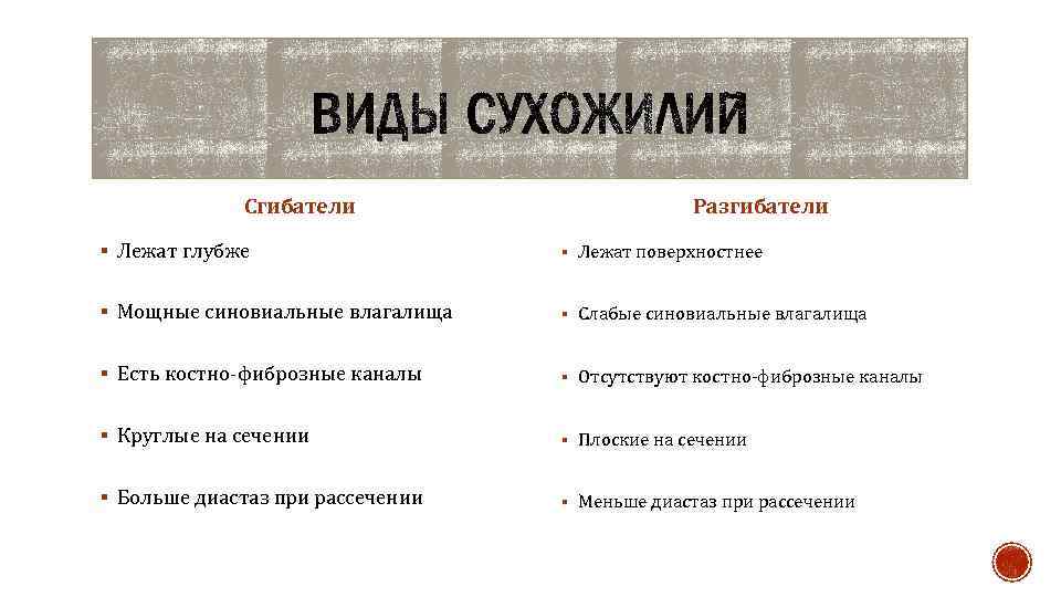 Сгибатели Разгибатели § Лежат глубже § Лежат поверхностнее § Мощные синовиальные влагалища § Слабые