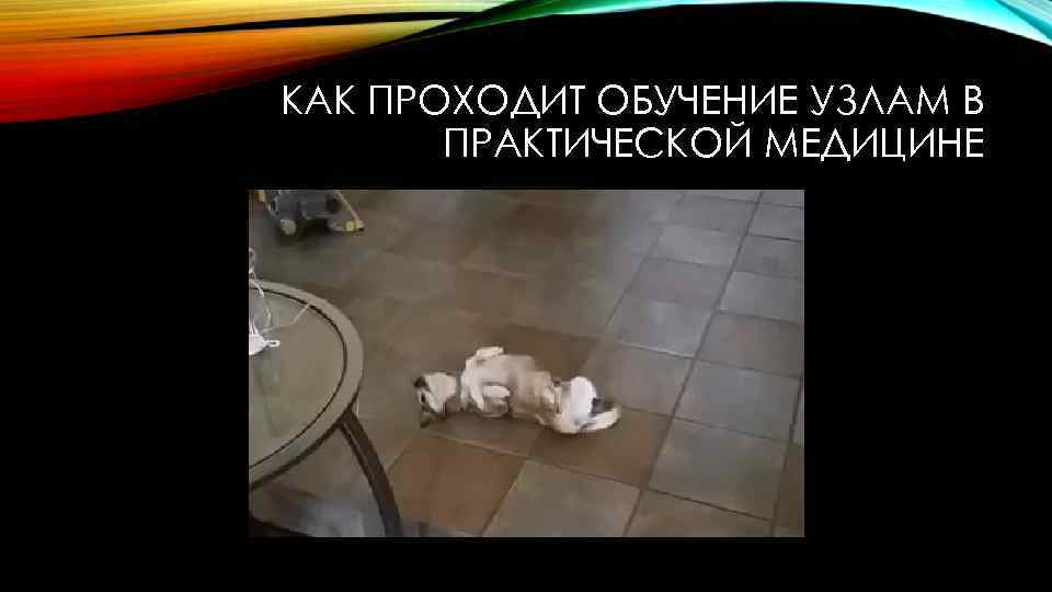 КАК ПРОХОДИТ ОБУЧЕНИЕ УЗЛАМ В ПРАКТИЧЕСКОЙ МЕДИЦИНЕ 