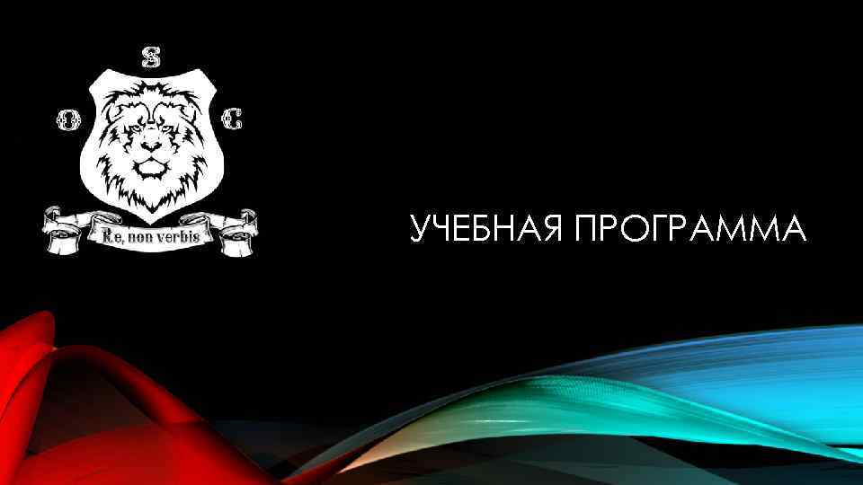 УЧЕБНАЯ ПРОГРАММА 