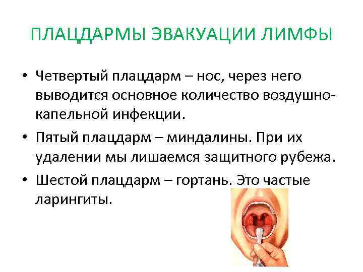 ПЛАЦДАРМЫ ЭВАКУАЦИИ ЛИМФЫ • Четвертый плацдарм – нос, через него выводится основное количество воздушнокапельной